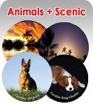 Animals and Scenic Wheel Covers